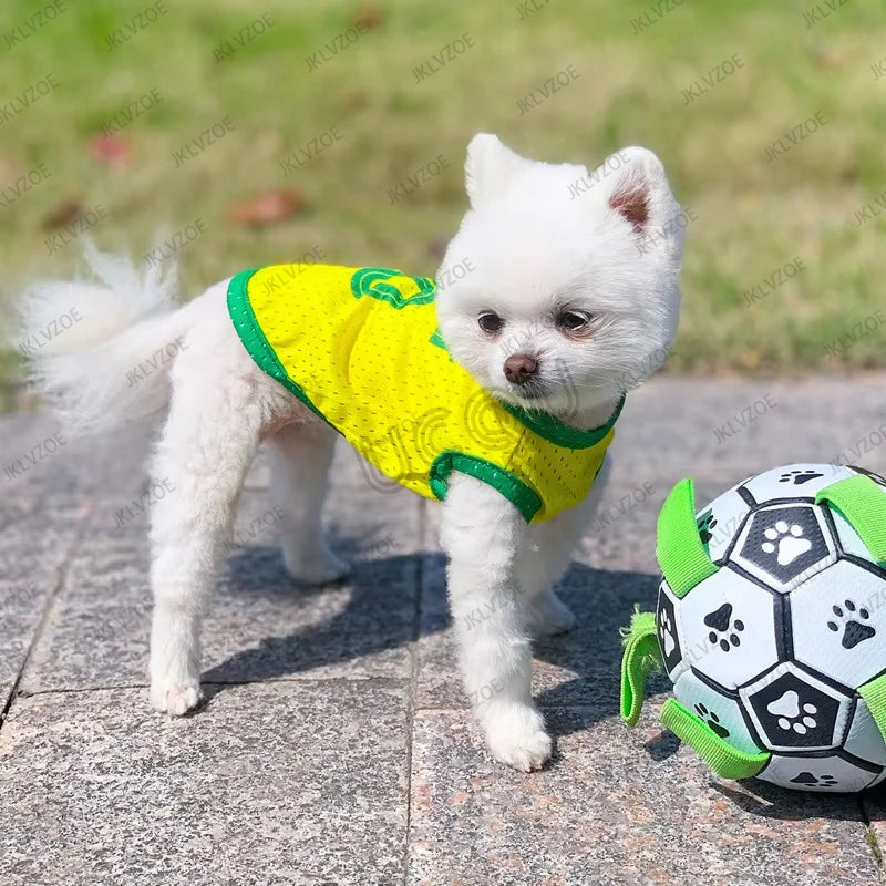 Dog Style Neymar 10 Pet Jersey – Brazil Fan Edition